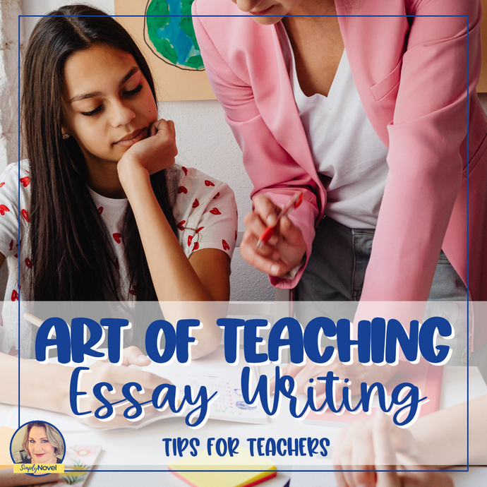 The Art of Teaching Essay Writing to Middle and High School Students