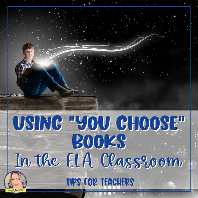 Using "You Choose Your Adventure" Novels in the Classroom