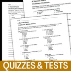 A Separate Peace Novel Study Unit - 4 - Week Teaching Resource BUNDLE - Simply Novel