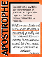 Advanced Literary Devices Posters | AP Lang & AP Lit Classroom Decor - Simply Novel