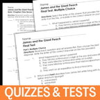 James and the Giant Peach Novel Study – Complete Teaching Unit | 100+ Pages - Simply Novel