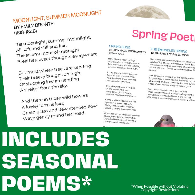 Middle & High School Essay & Writing Writing Prompts for ALL Seasons BUNDLE - Simply Novel