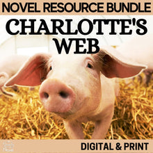 Load image into Gallery viewer, Charlotte&#39;s Web Novel Study - Two Vocabulary Lists &amp; List of Unique Novel Terms