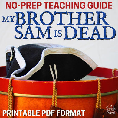 My Brother Sam Is Dead Novel Study Unit - 137-Page Teacher Resource BUNDLE