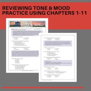 Among the Hidden Novel Study Tone and Mood Practice and Review Worksheets
