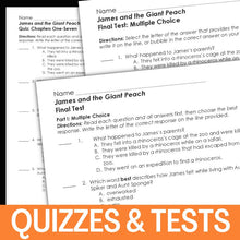 Load image into Gallery viewer, James and the Giant Peach Novel Study - Over 100 Pages plus Question Task Cards