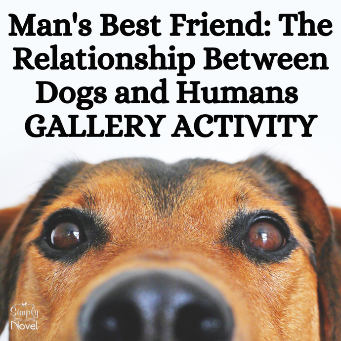 Relationship Between Dogs and Humans Informational Text & Gallery Activity