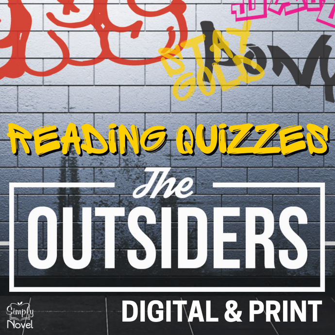 The Outsiders Novel Study Unit Assessment - Chapter Reading Quizzes