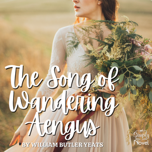 The Song of Wandering Aengus by W.B. Yeats, 17-Page Unit - Questions, Activities