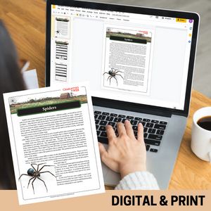 Spiders Informational Text Article & Questions - Print & Digital