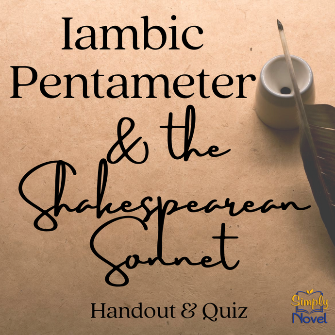 The Sonnet Form & Iambic Pentameter Lesson & Sonnet Form Quiz