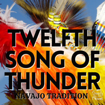 Twelfth Song of Thunder, 13-Page Poetry Unit - Questions, Activities, Test