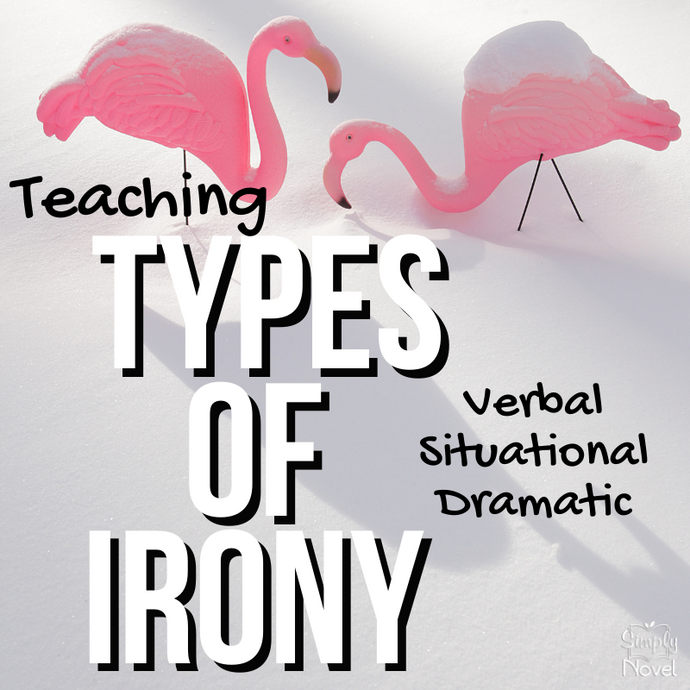 Types of Irony - Verbal, Situational, and Dramatic Irony Activity